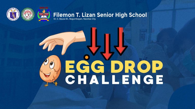 egg drop challenge